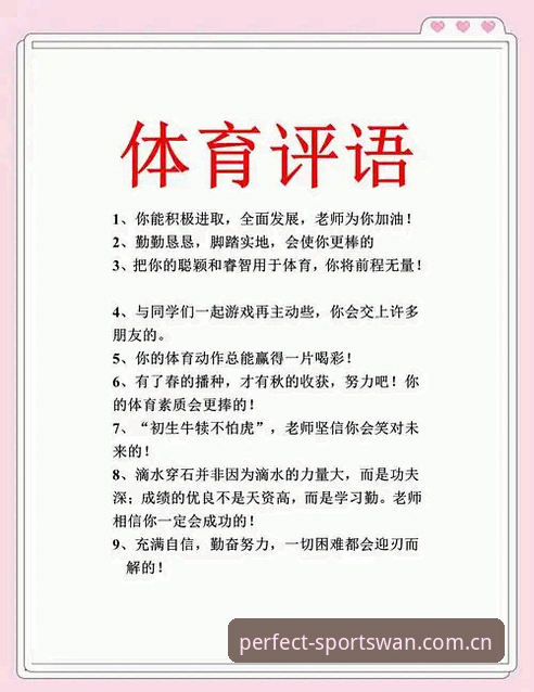 完美体育体验评价使用技巧：从入门到进阶的全面评测报告